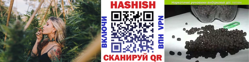 Где купить наркотики Сосновоборск Канабис  СОЛЬ  ГАШ  Меф мяу мяу 