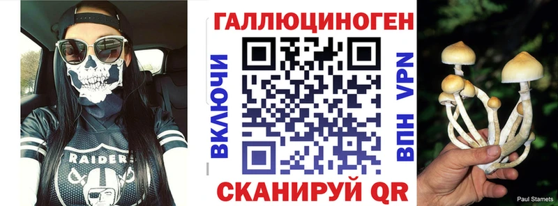 OMG маркетплейс  Сосновоборск  Псилоцибиновые грибы Psilocybe 